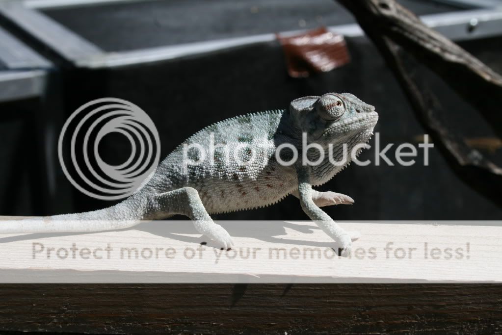 eospics9-19-09006-8.jpg