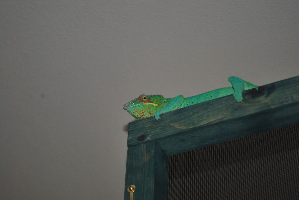 DSC_00622.jpg