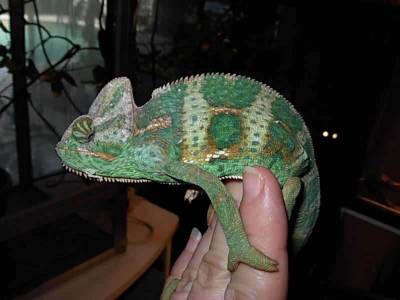DSCN3597.jpg