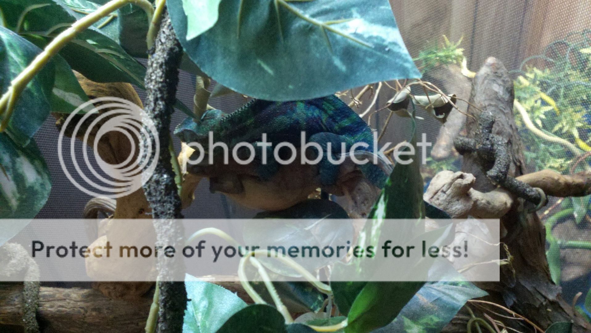 2011-09-20_22-28-32_381.jpg