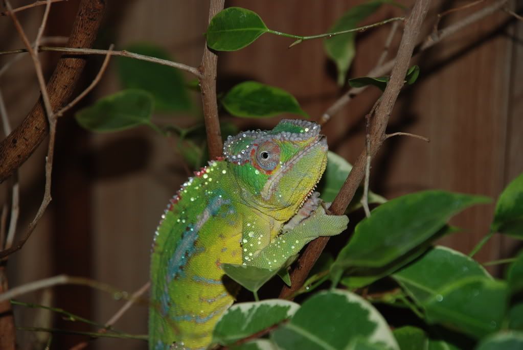 DSC_0253.jpg