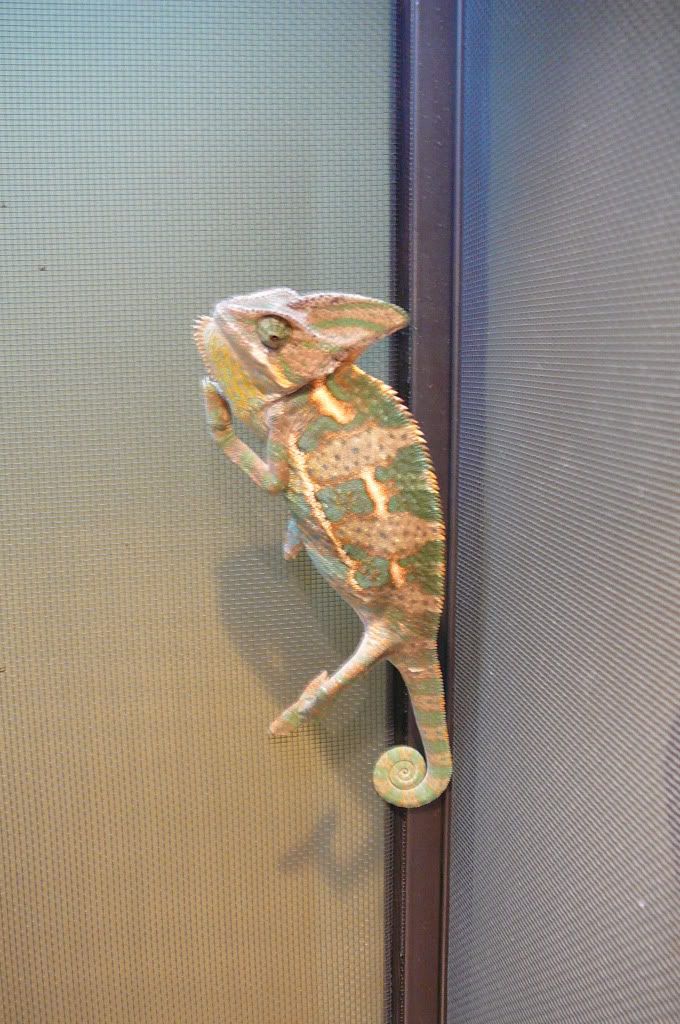 darwin5-12-10002.jpg