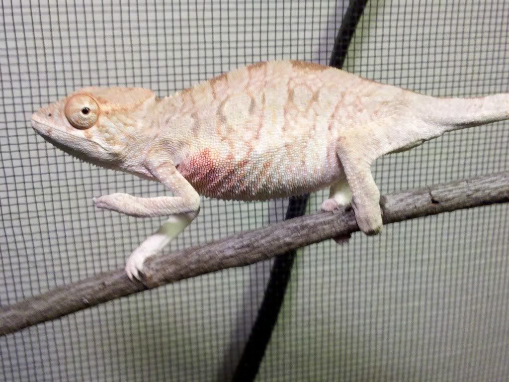 IMG_20101103_082715.jpg