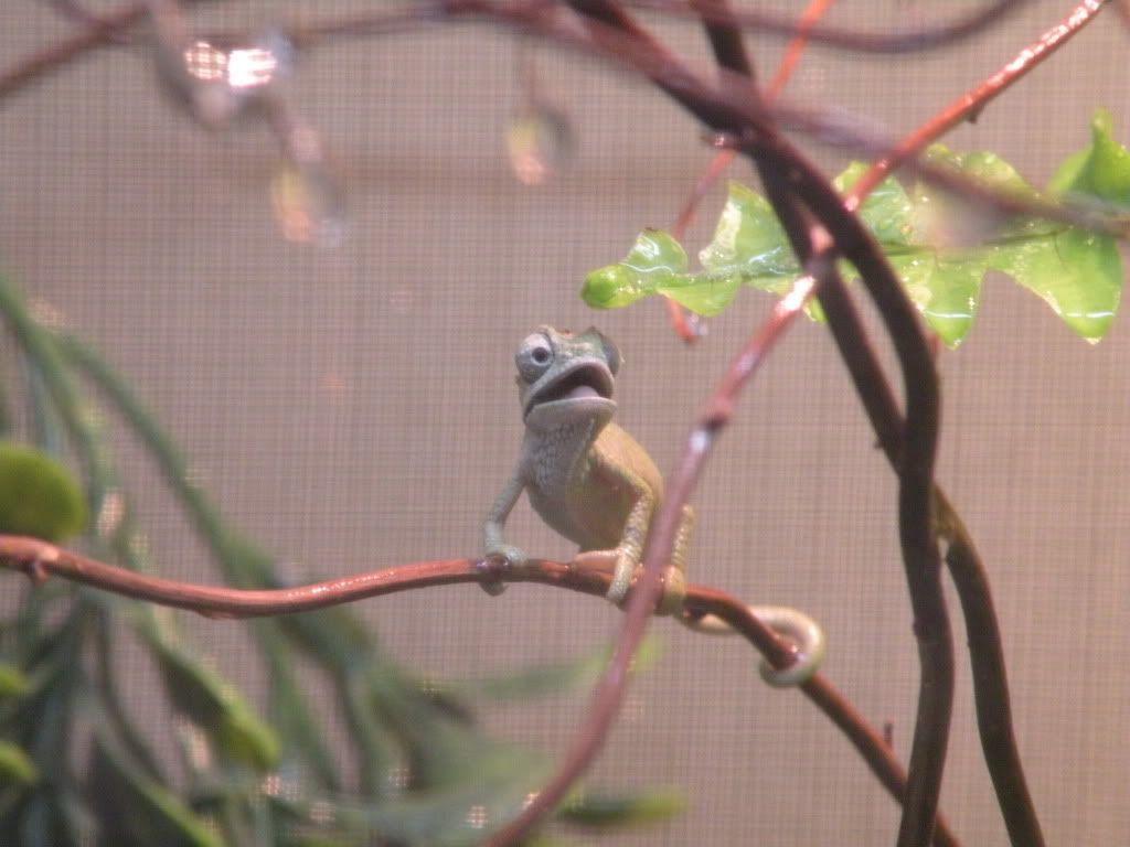 DSCN2935.jpg