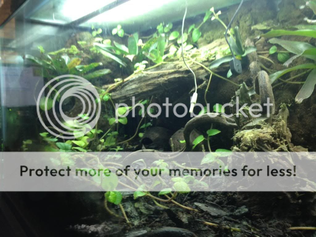 photo30_zpsb14944ee.jpg