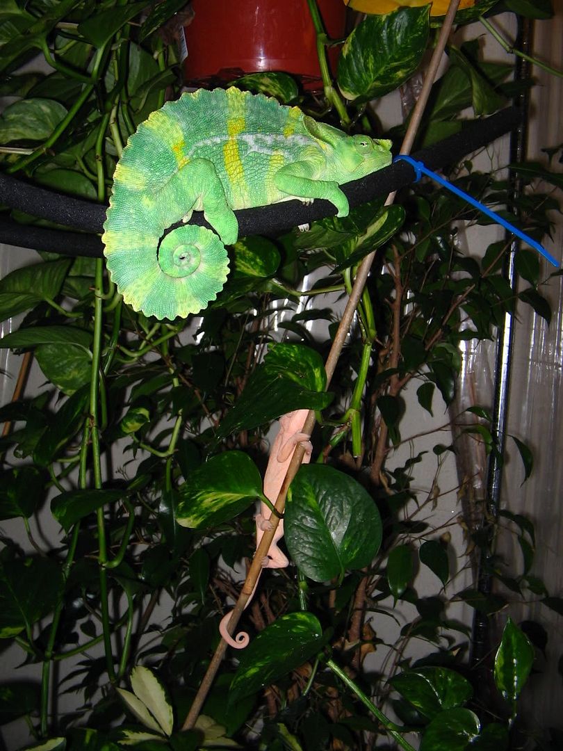 IMG_1278.jpg