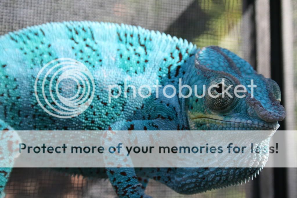 wedpics030.jpg