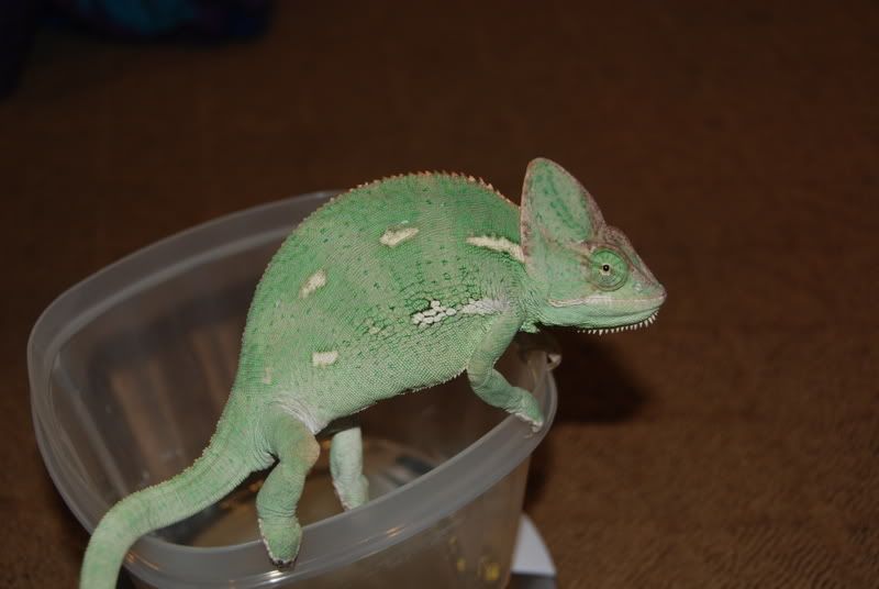 20071021001.jpg