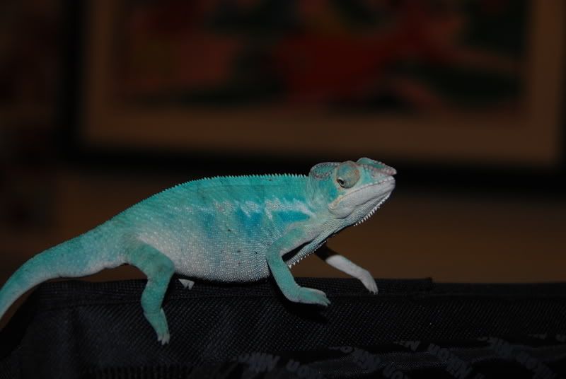20071029006.jpg