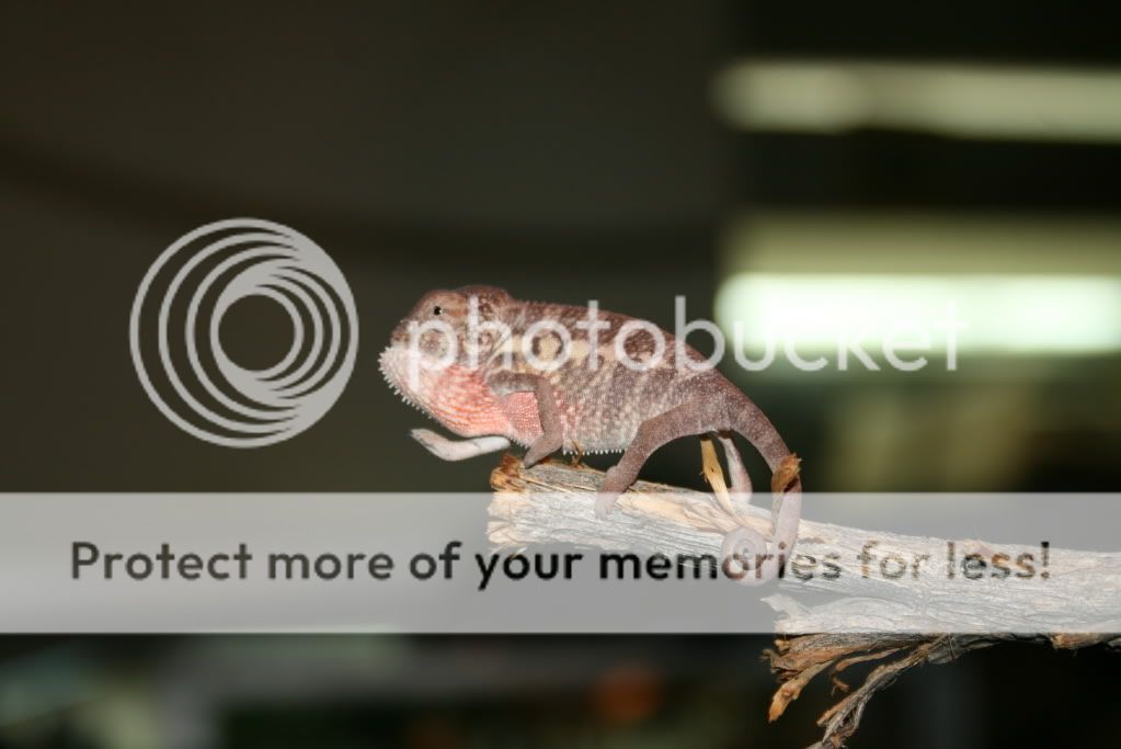 picsfromtoday006.jpg