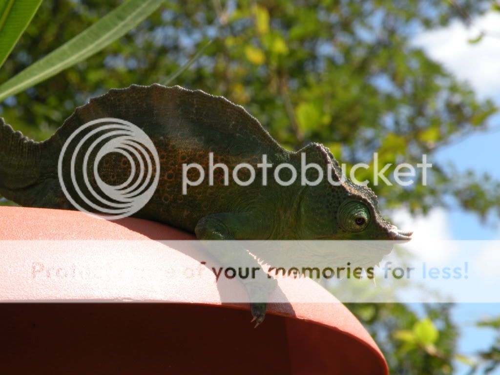 DSCN8221.jpg