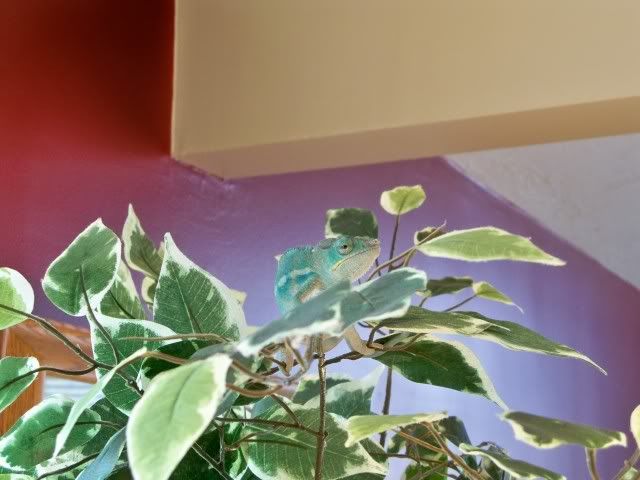 100_0625.jpg