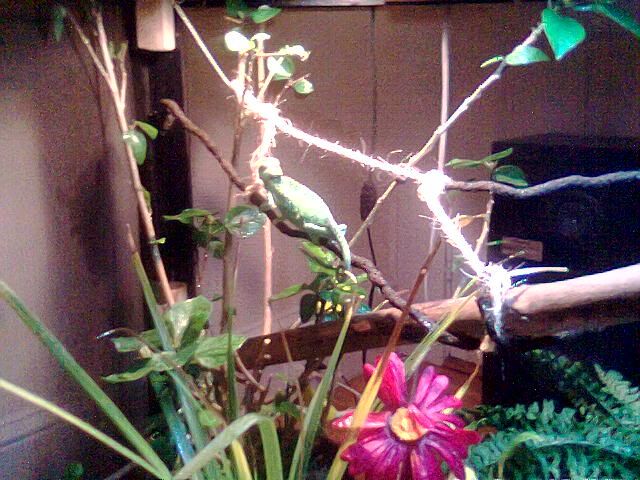 Pix029.jpg