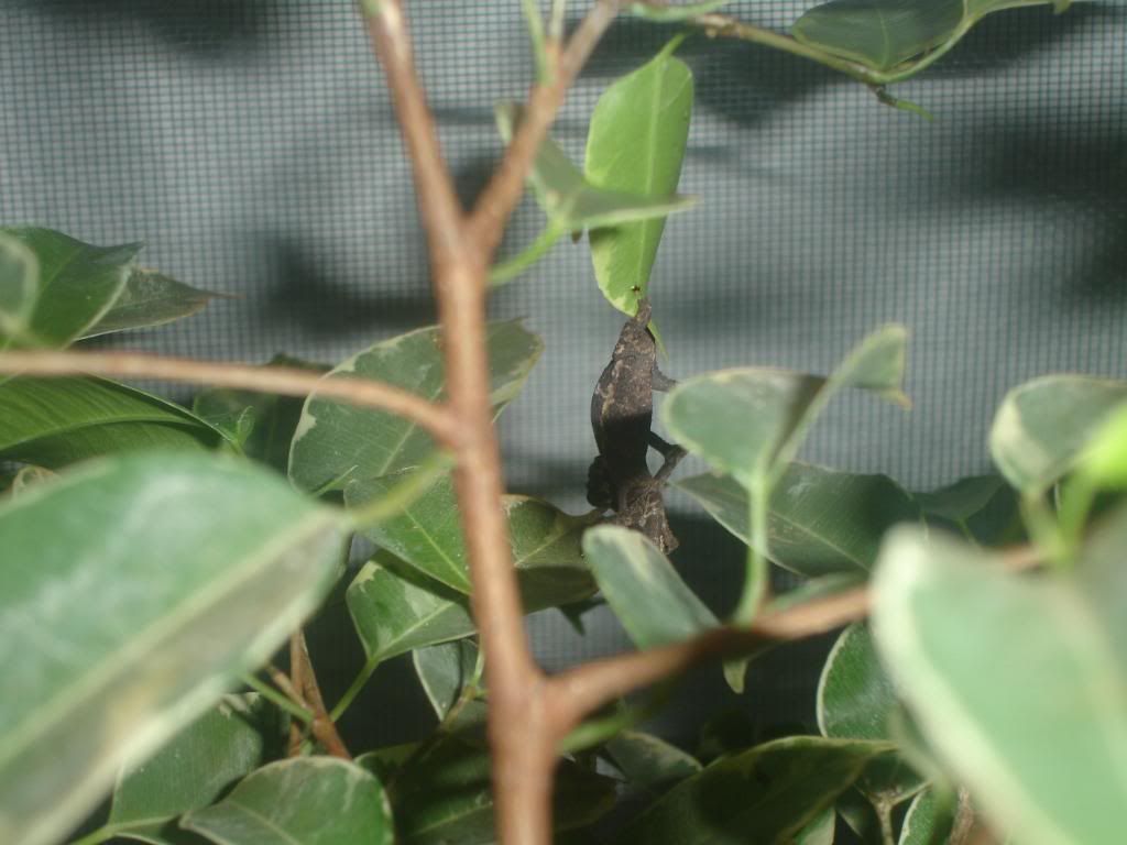 DSC00048.jpg