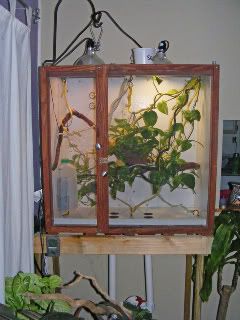 ImportedPhotos00019.jpg