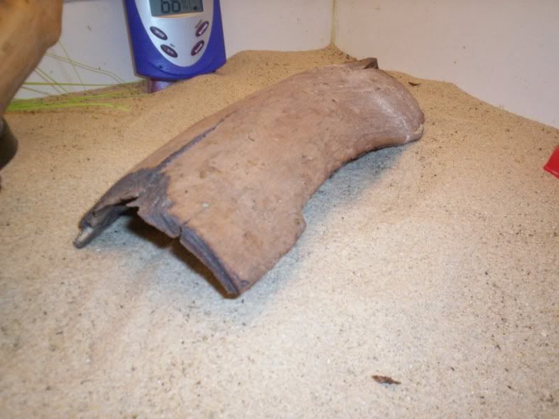 testbatch046.jpg