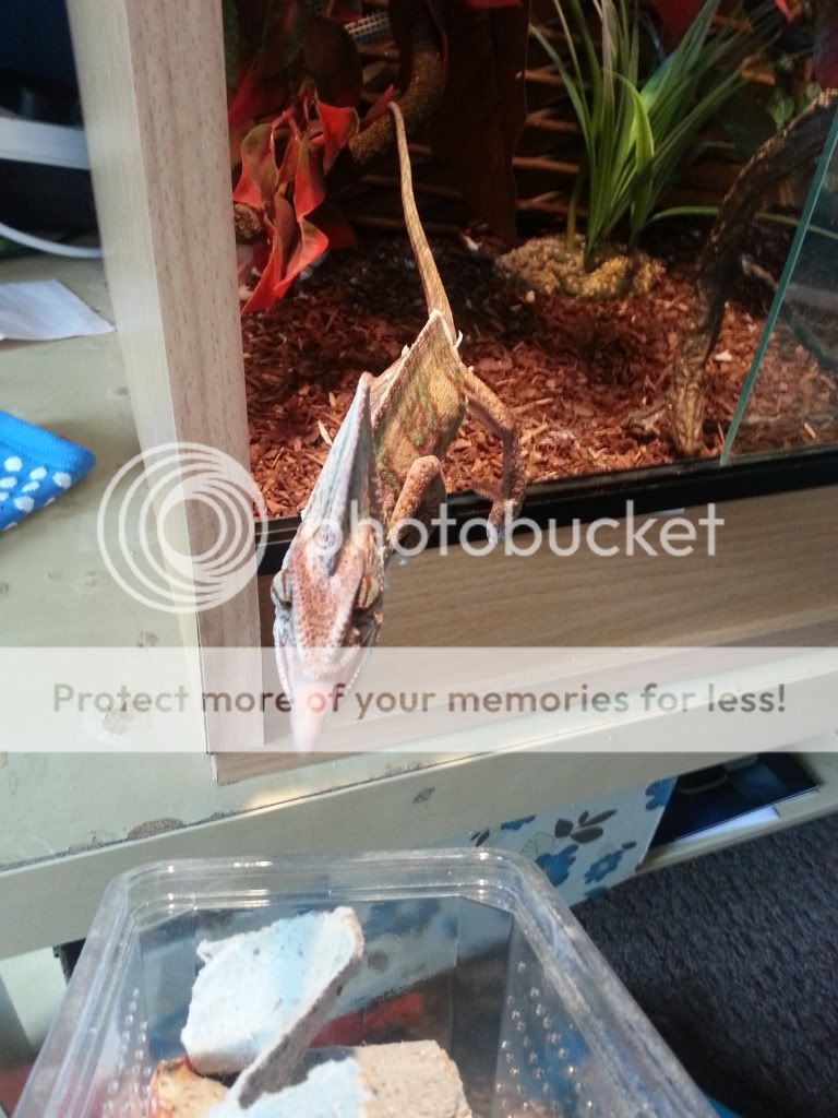 20120830_105108.jpg