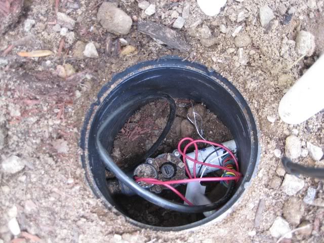 Picture113680.jpg