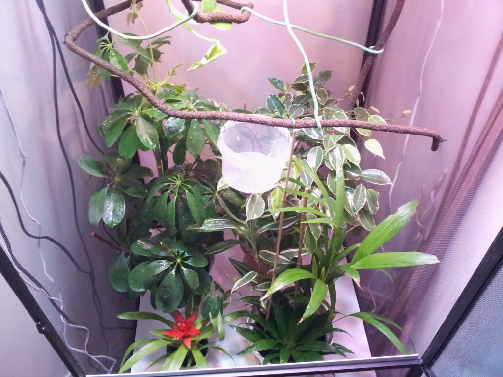 20120308_152454.jpg