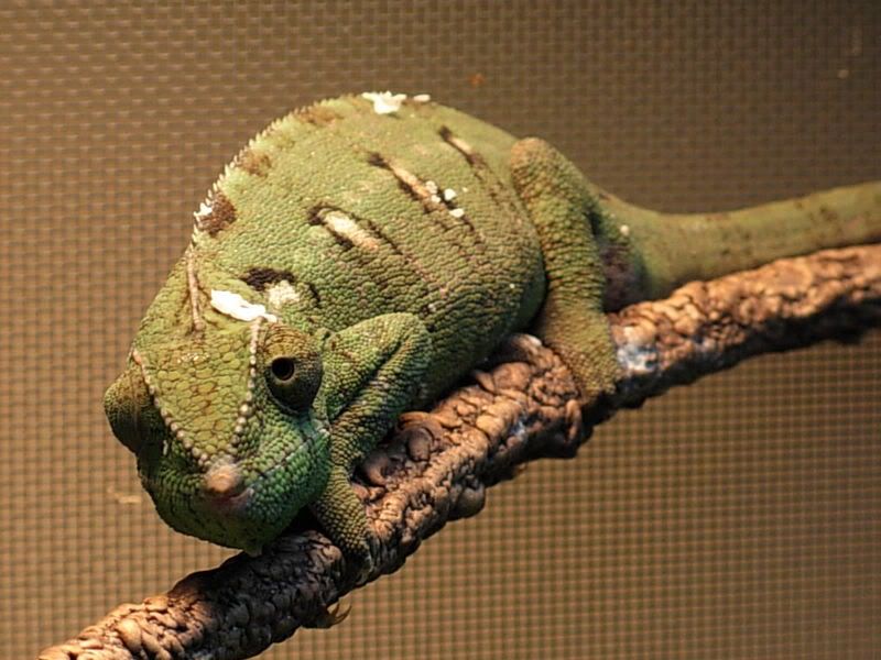 DSCN0139.jpg