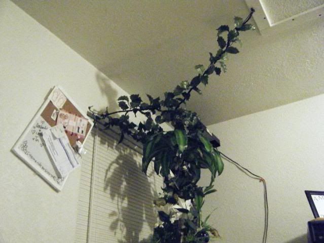 DSCF0572.jpg