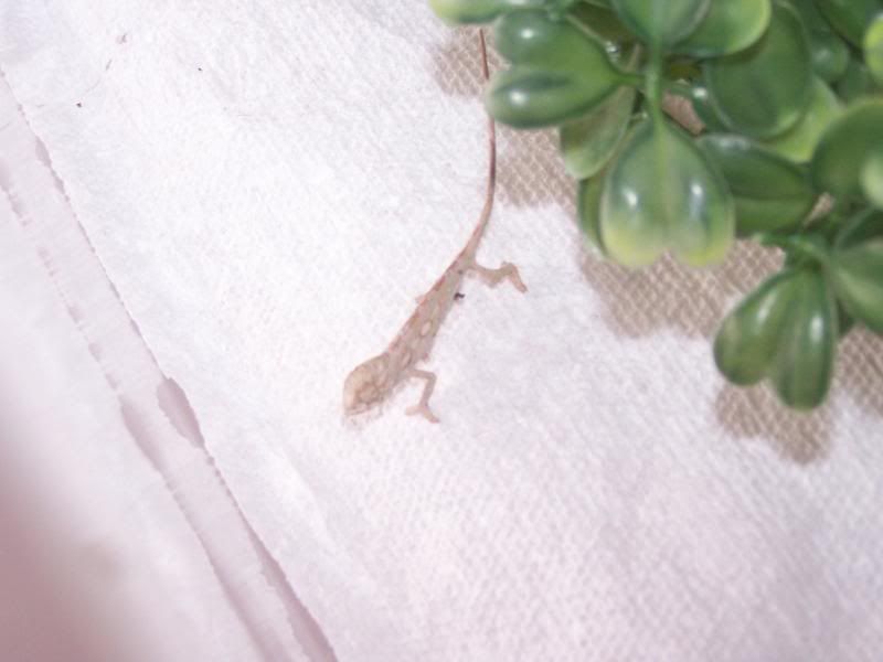 100_0882.jpg