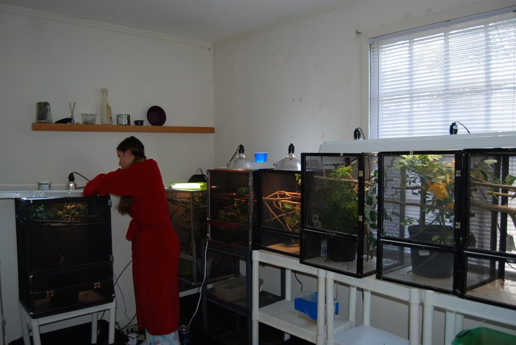 LizbethshouseJan2010015.jpg