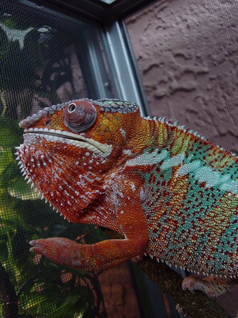 DSC00117.jpg