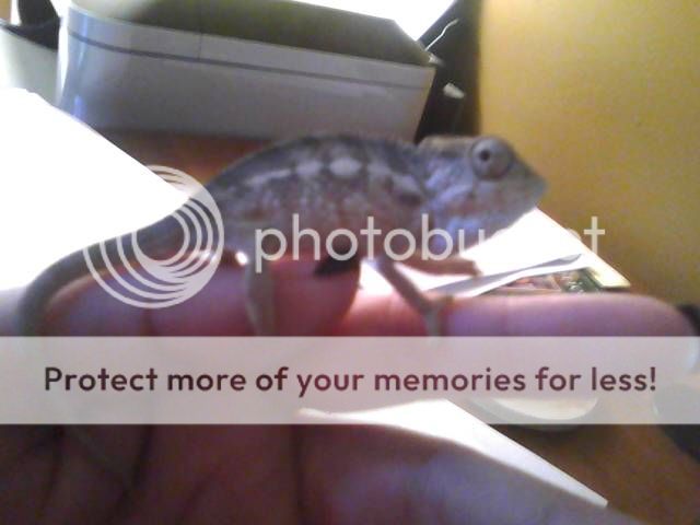 1003121542_zps4ec2b5b7.jpg