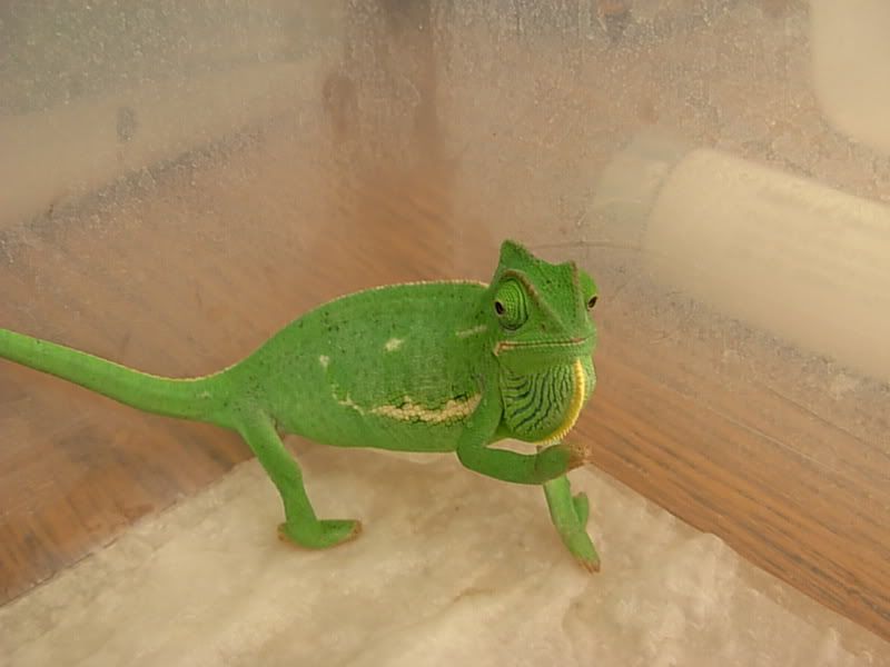 DSCN2340.jpg