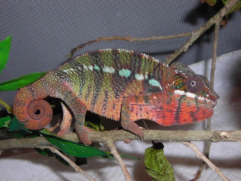 DSCN3515.jpg