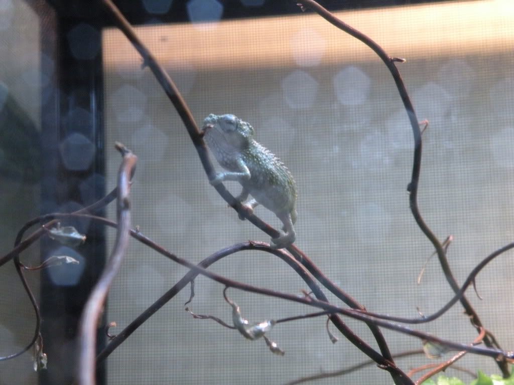 DSCN2943.jpg