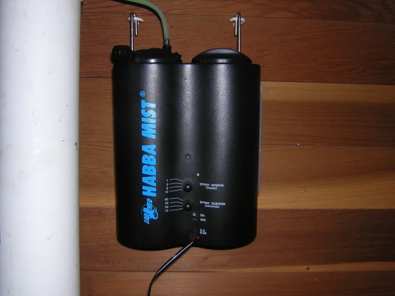 DSCN5037.jpg