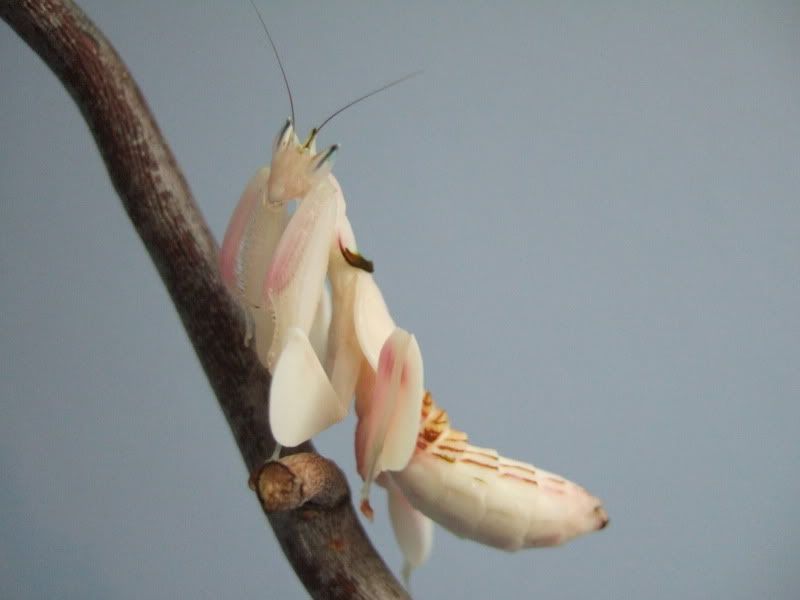 DSCF5137.jpg