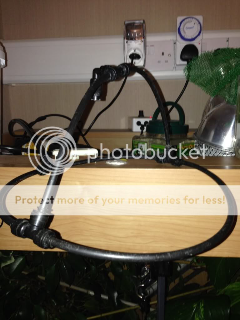 null_zpsc944168b.jpg