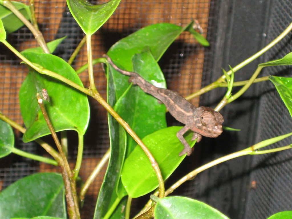 IMG_8100.jpg