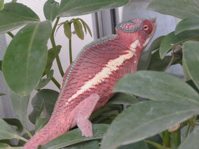 PICT3509.jpg