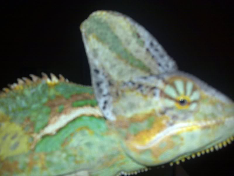01122008011.jpg