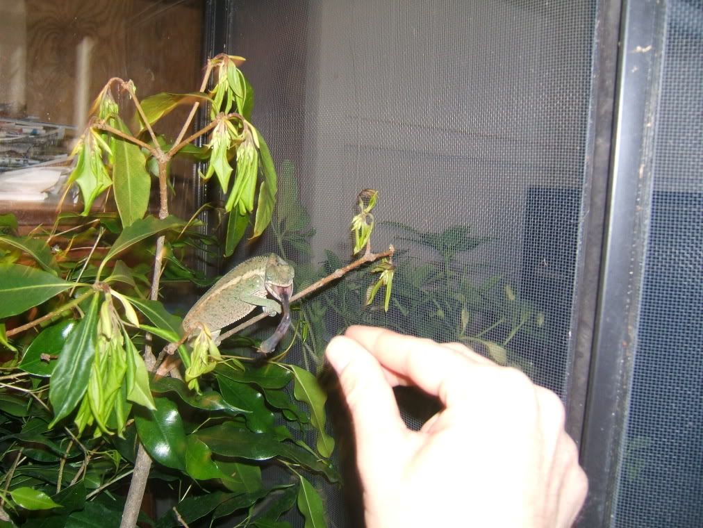 DSCF7808.jpg