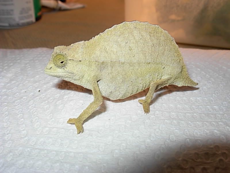 DSCN6188.jpg