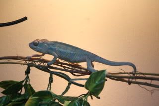 IMG_9467.jpg
