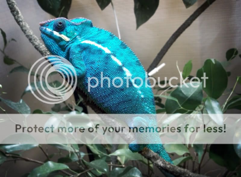 100_3559_edit.jpg