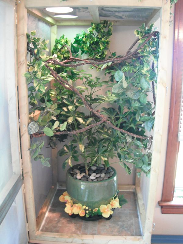enclosure_zps96fe81f4.jpg