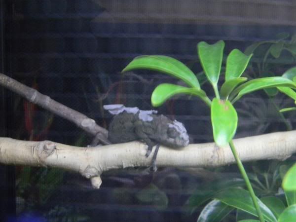 DSCN2197.jpg