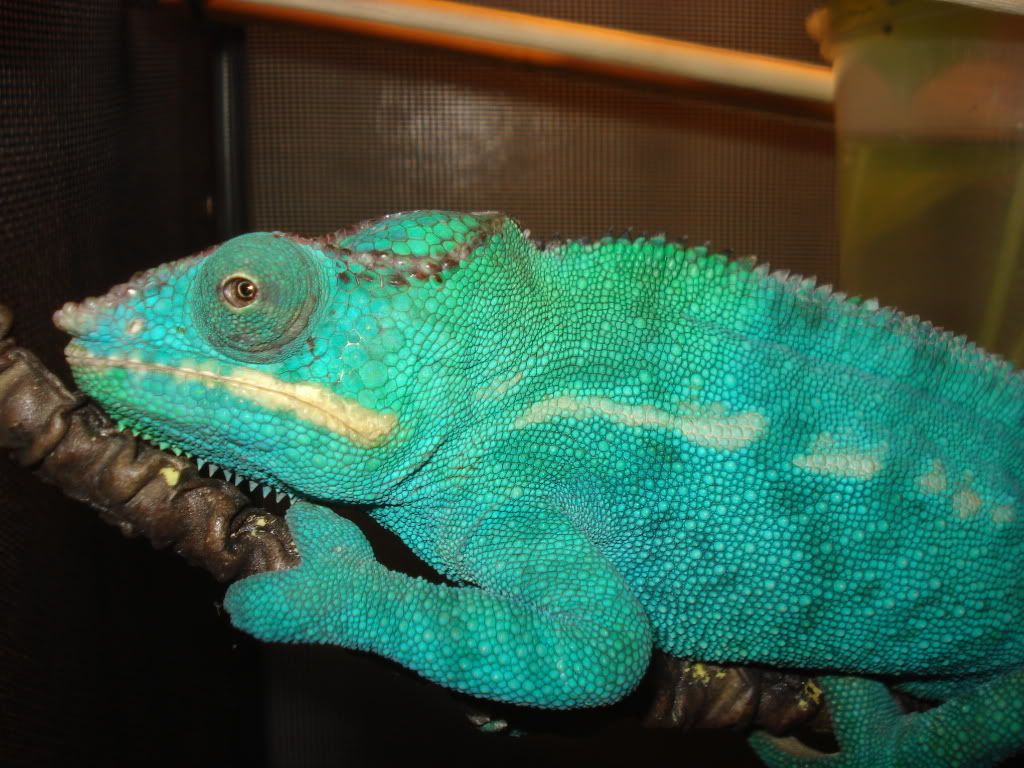 DSC05766.jpg