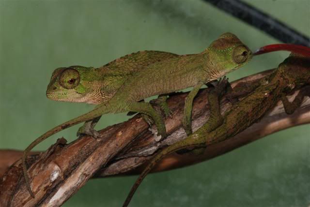 DSC_8229Small.jpg
