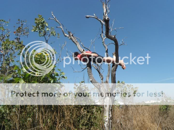 Planking-04.jpg