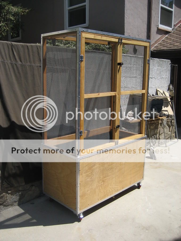 cage2.jpg
