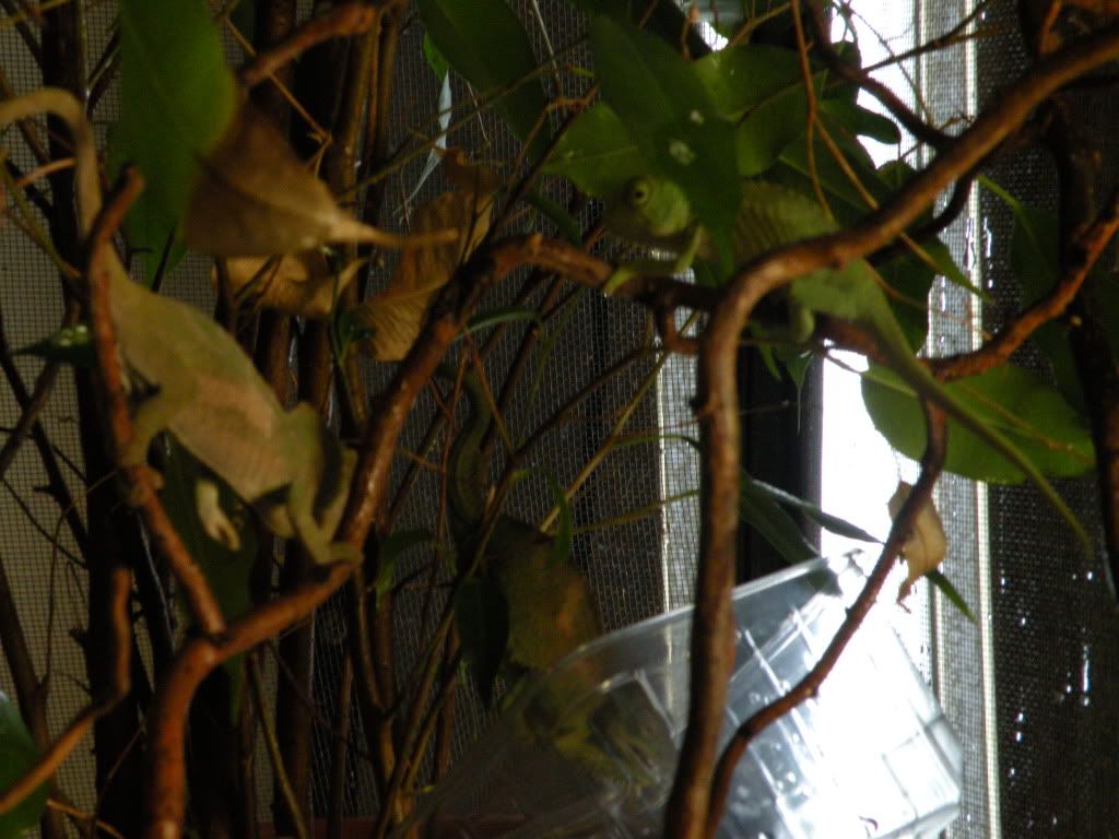 DSCN7885-1.jpg