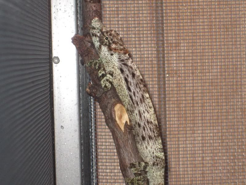 Picture1137774.jpg